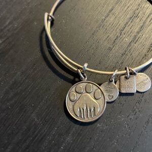 Alex and Ani Positive Energy Bracelet
